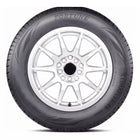 3581030710 | 245/55R19 Fortune ClimaFlex 4S FSR402